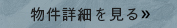 詳細を見る